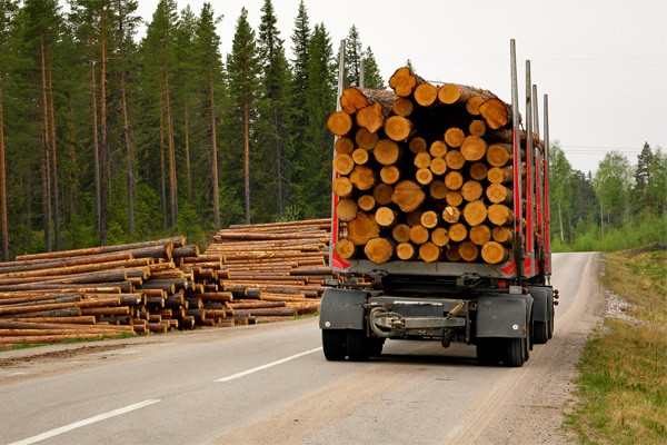 Nous connaissons les risques associés au domaine de la foresterie, optez pour une assurance forestière et protégez votre entreprise
